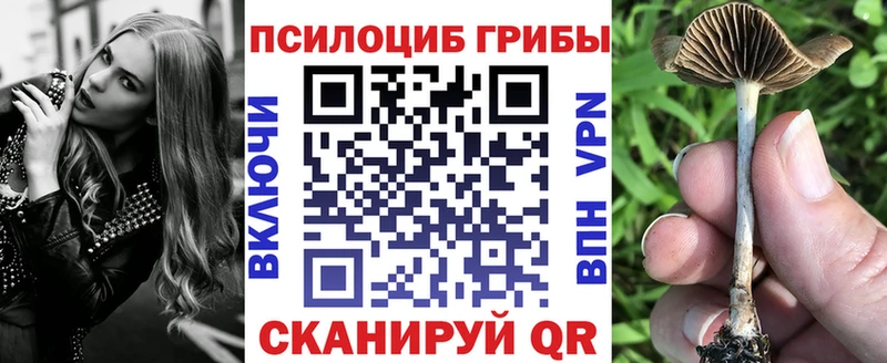 Псилоцибиновые грибы прущие грибы  Шали 