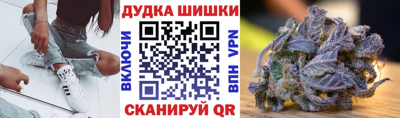 Конопля индика  Шали 